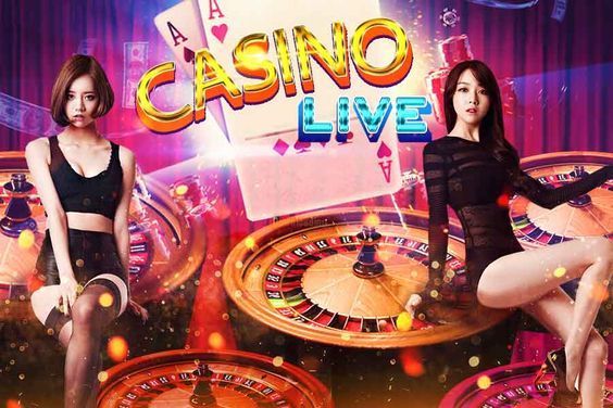 Velocity House Casino پاکستان ریئل منی گیمز